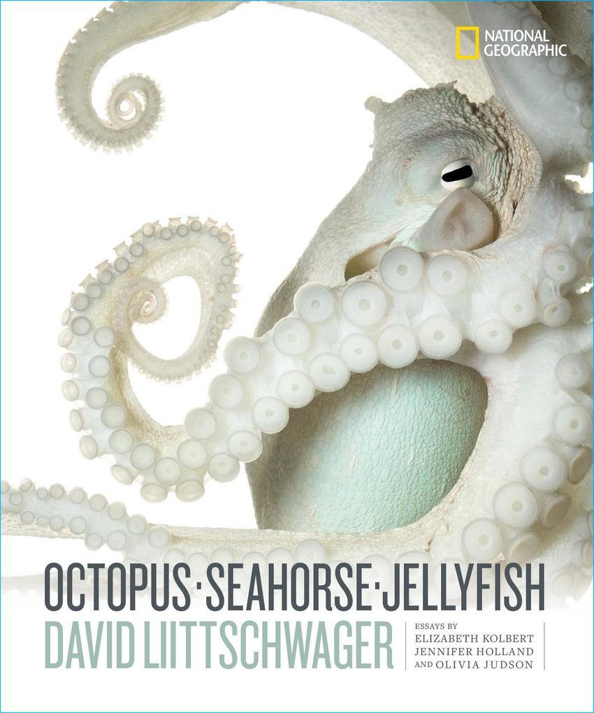 Octopus, Seahorse, Jellyfish | David Liittschwager | Englisch