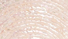 1x Shell Pearl Sheet Veneer Wavy Pattern Inlay Luthier 9 1/2"x5 1/2" (240x140mm)