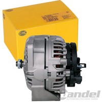 Hella Lichtmaschine Generator 100A | 8EL 012 584-151