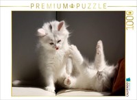 Calvendo Puzzle Cats - Persian Cat | 1000 Pieces, Finished Size 25.2 × 18.9 In (