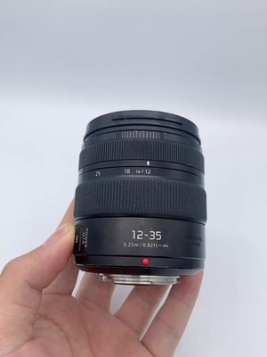 Panasonic Lumix G X Vario 12-35mm f/2.8 ASPH Power OIS II Lens