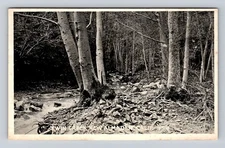 New Almaden CA-California, Twin Creek, Vintagecard