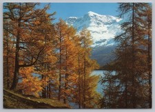 Lake Sils Engadin Switzerland Vintage Postcard Piz Surlej Rosatsch Photoglob