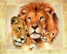 Paint By Numbers Kit Lion's Family 40CMx50CM Canvas
