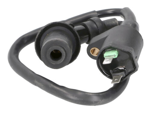 Sym Jungle 50 2 Pin HT Lead & Ignition Coil - Afbeelding 1 van 1
