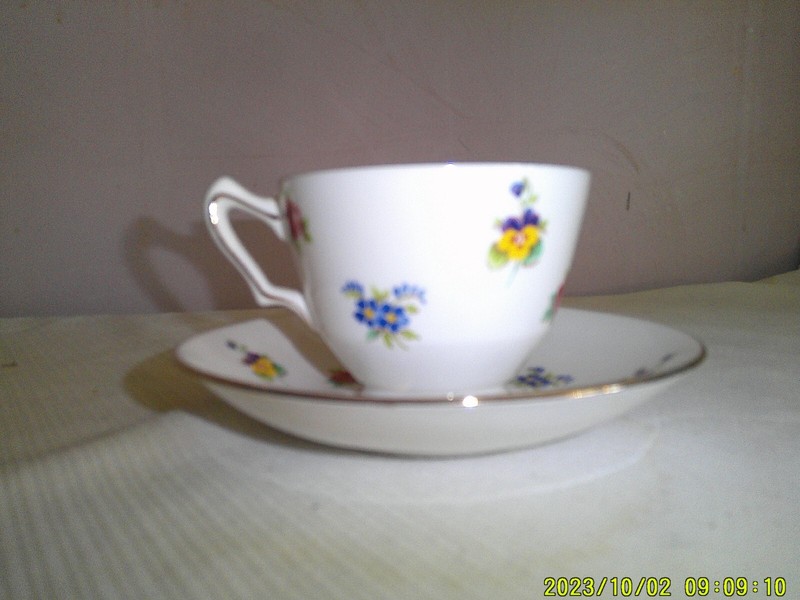 Royal Victoria Fine Bone China Cup and Saucer Set