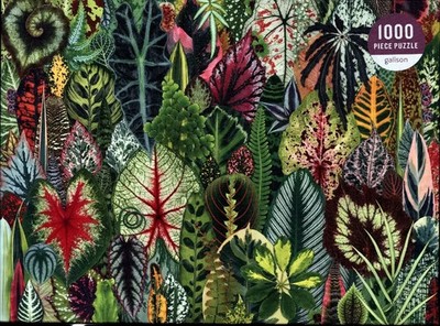 Houseplant Jungle 1000 Piece Puzzle Galison Spiel Englisch 2021 Galison
