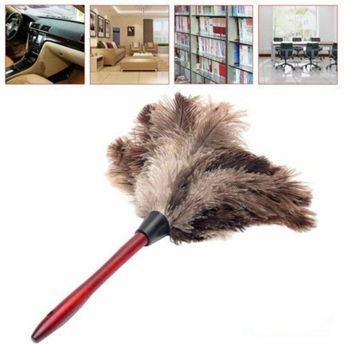 Ostrich Feather Duster - ANV - Picture 5 of 9