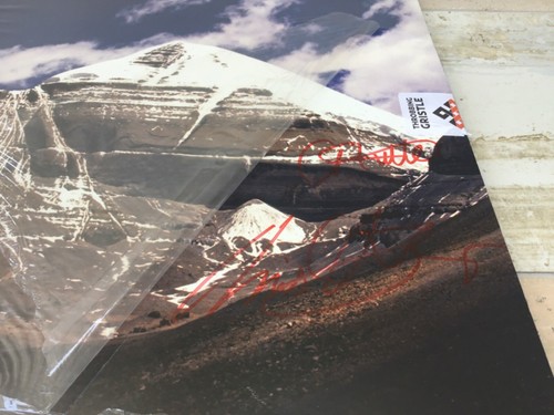 Throbbing Gristle Part Two The Endless Not SIGNED AUTOGRAPHED 2 x Vinyl LP 2007 - 第 2/12 張圖片
