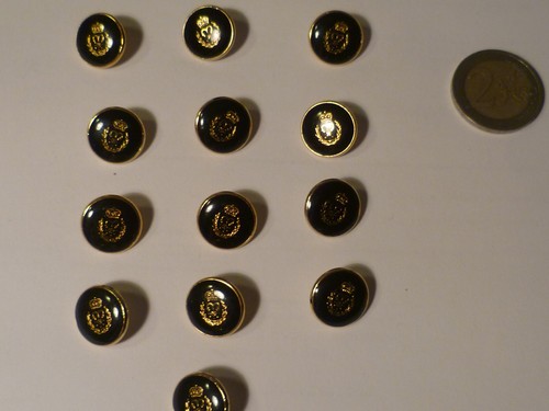 13 BOTTONI PLASTICA BLU ORO STEMMA VINTAGE 1,5 CM SARTORIA SARTO UOMO - Foto 3 di 6