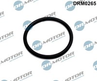 EGR Ventil Dichtung Ford Focus 2.0TDCI 10-