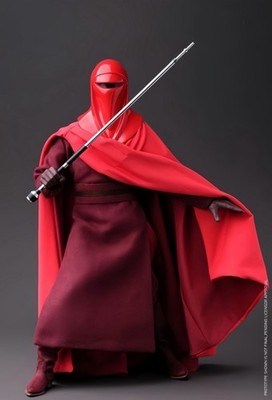STAR WARS Royal Guard  1/6 Figure Collectible Modell Display