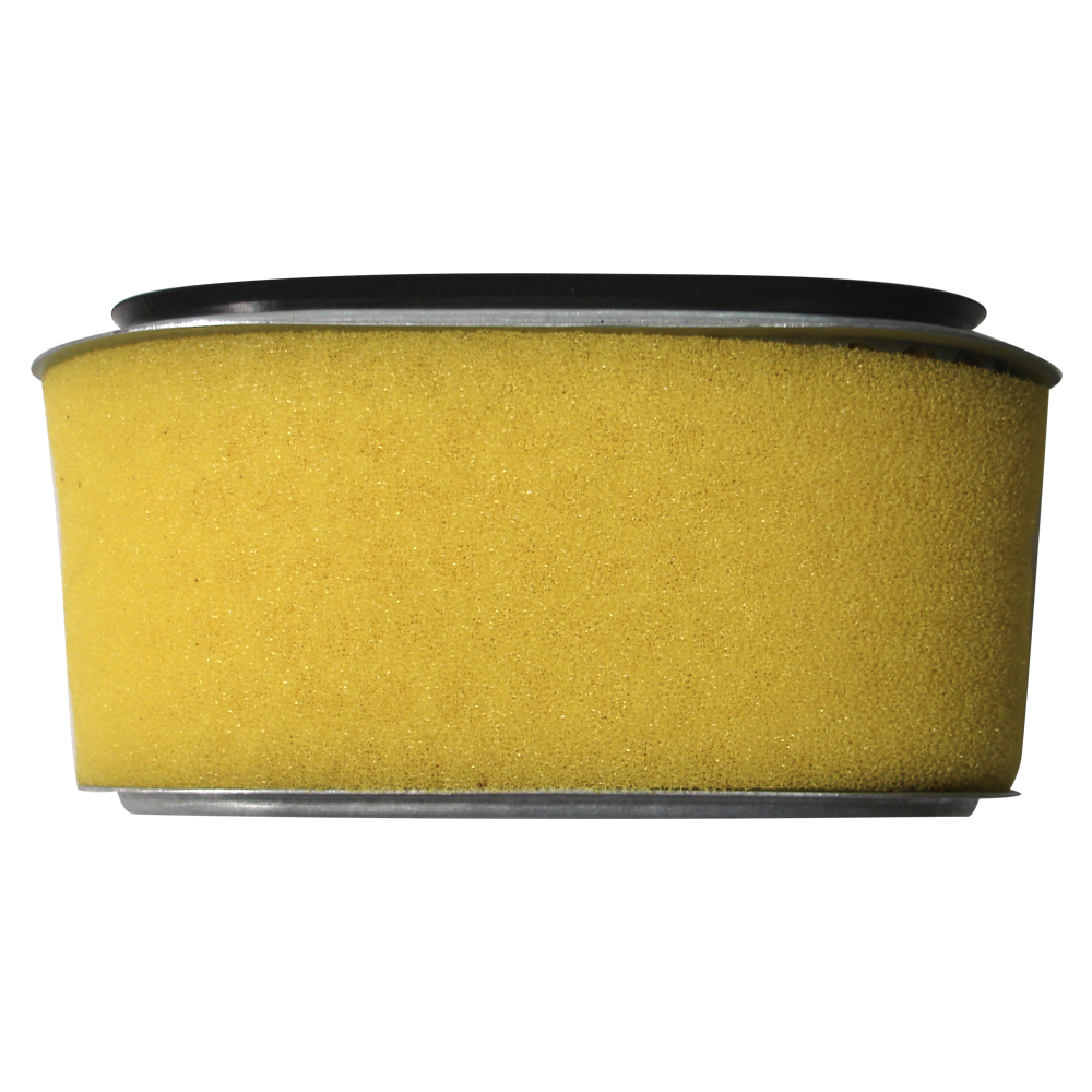Honda GX160F660 Air Filter Fits 17210734000 17210734003 17210734