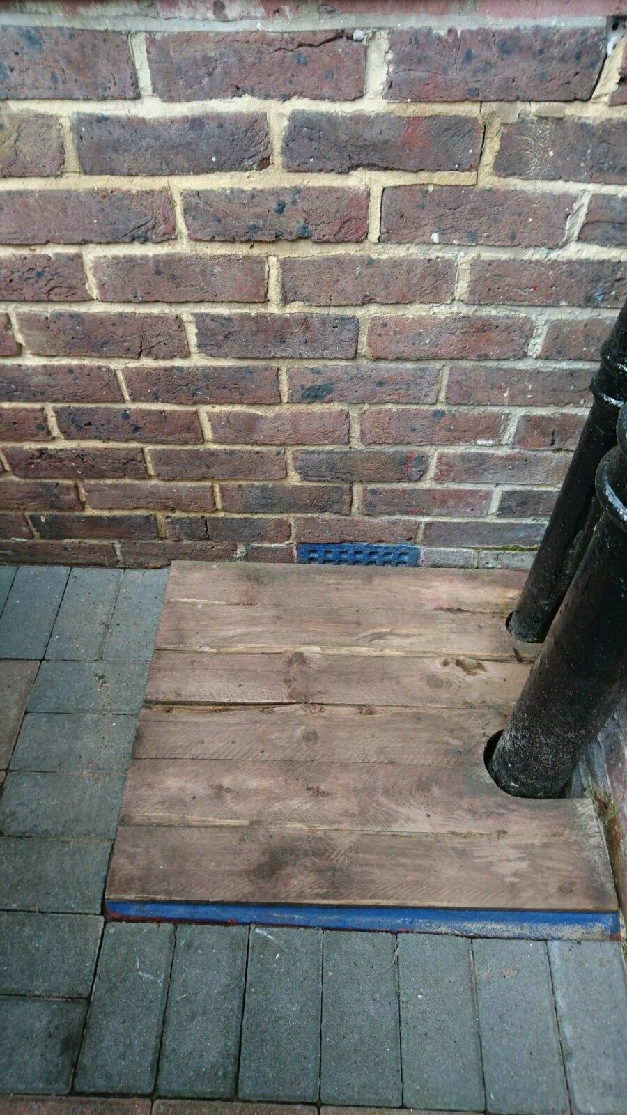 ECO FRIENDLY Patio Cleaner 5 Litres ONLY 69p per litre when diluted eBay