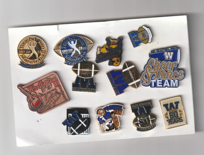 LOT OF 12 WINNIPEG BLUE BOMBERS PINS