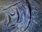 Hit List 40! 1901-P MORGAN VAM-5 VAM-6 VAM-7 VAM-10 Silver Dollar PCGS XF Detail — photo 10