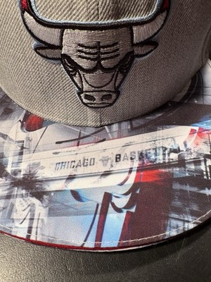 Chicago Bulls - BMO Harris - 2017/2018 Artist Series Snapback Hats -  NEW