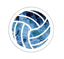 Volleyball Sticker Decal