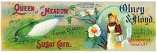ORIGINAL TIN CAN LABEL C1910 OLNEY FLYOD SUGAR CORN QUEEN THE MEADOW ONEIDA NY