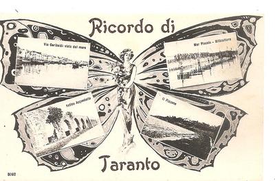 Memory of TARANTO butterfly..............with 4 views.