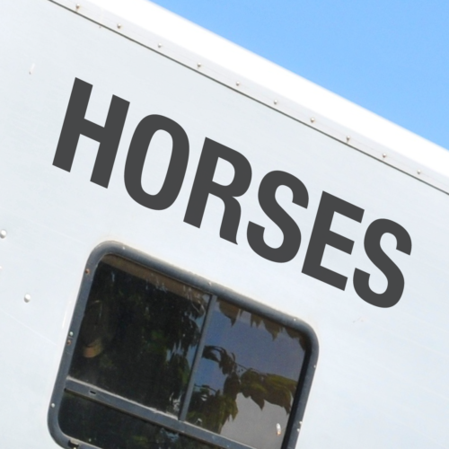 x2 'HORSES' DECALS -Horsebox Equestrian Trailer Vinyl Lettering Sticker Decal - Picture 1 of 3