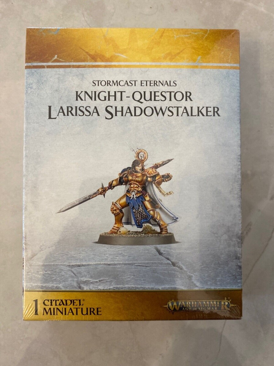 Knight-Questor Larissa Shadowstalker - Warhammer Age Of Sigmar