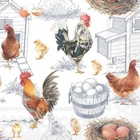 Chicken Farm Hen Napkins Country Farmyard Decoupage Party Serviettes 3 Ply x 20