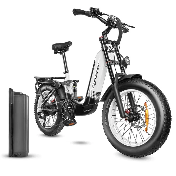 Fat tire 20 inch cheap