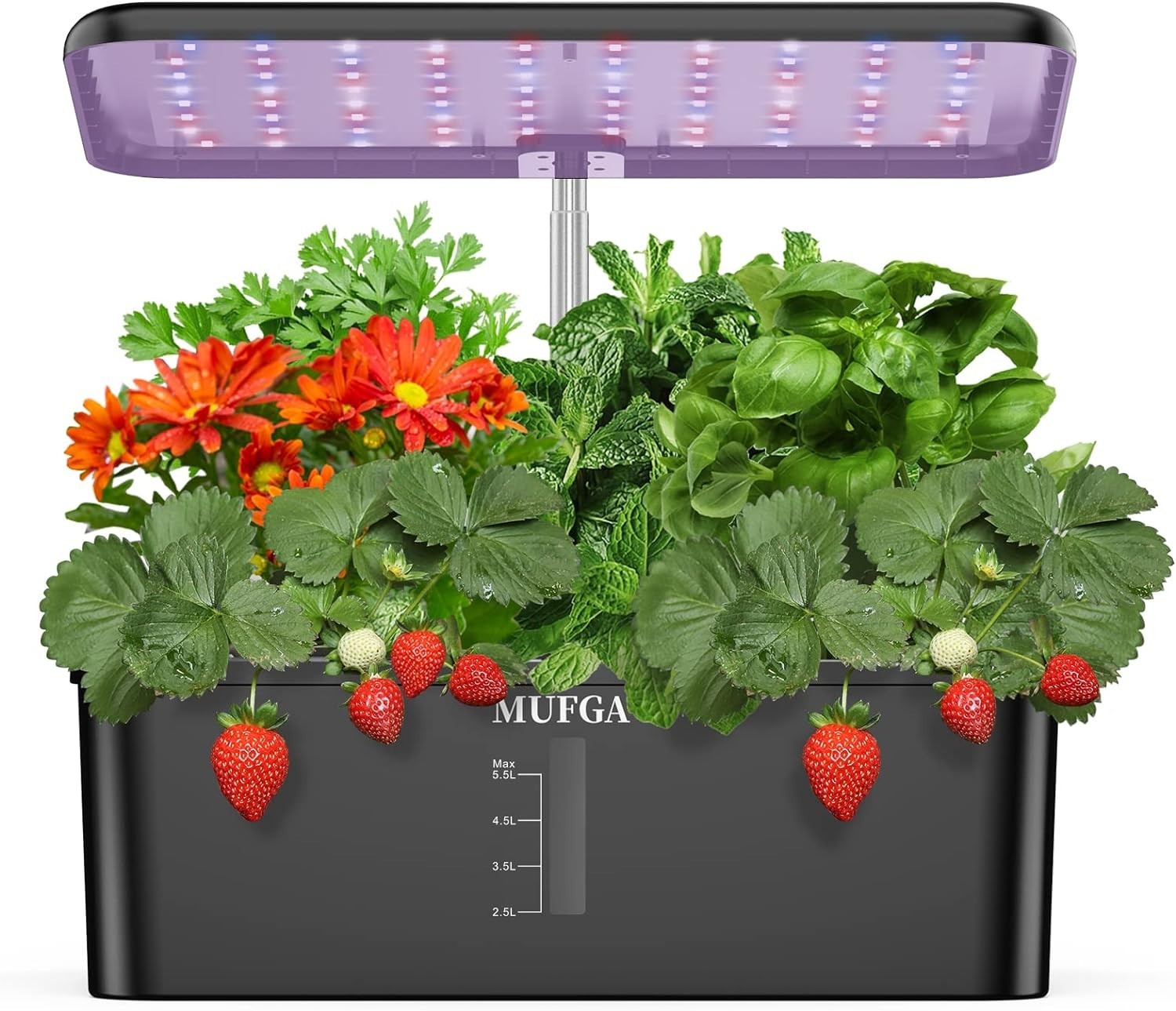 Compact Hydroponic Growing System for 12 Herbs with High-Performance LED Light