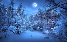 20x10FT Winter Snow Forest XMAS Vinyl Photography Background Studio Backdrop LB