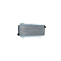 KüHler Motor KüHlrippen 495 - 230 Mm Alu NRF FüR U.A. Ford Fiesta