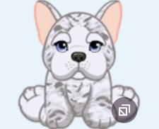 Webkinz Merle Frenchie Puppy HM9456 RARE PROMO gray bulldog Virtual code msgd