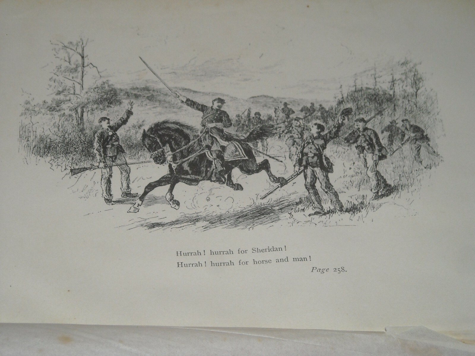 Picture 4 of 12