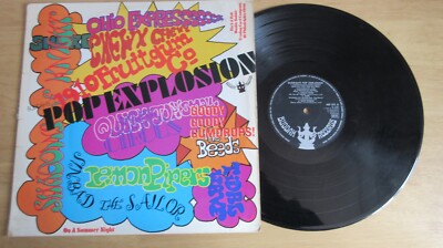 Buddah's Pop Explosion LP *VG+/VG*Shadows of Knight/Ohio Express Etc*