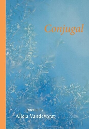 Thumbnail - Alicia Vandevorst Conjugal (taschenbuch)