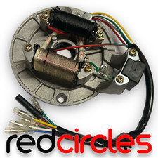 PIASTRA STATORE PIT BIKE adatta per PITBIKES 140cc 150cc 160cc