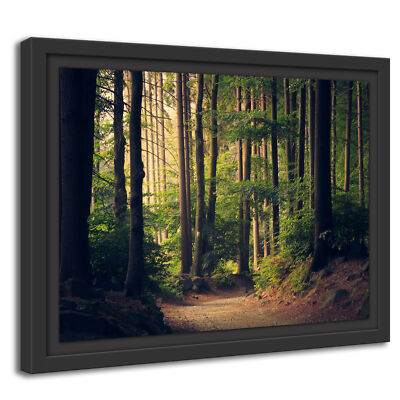 Peintures sur toile - Chemin de sable à travers la forêt - 120x80 cm