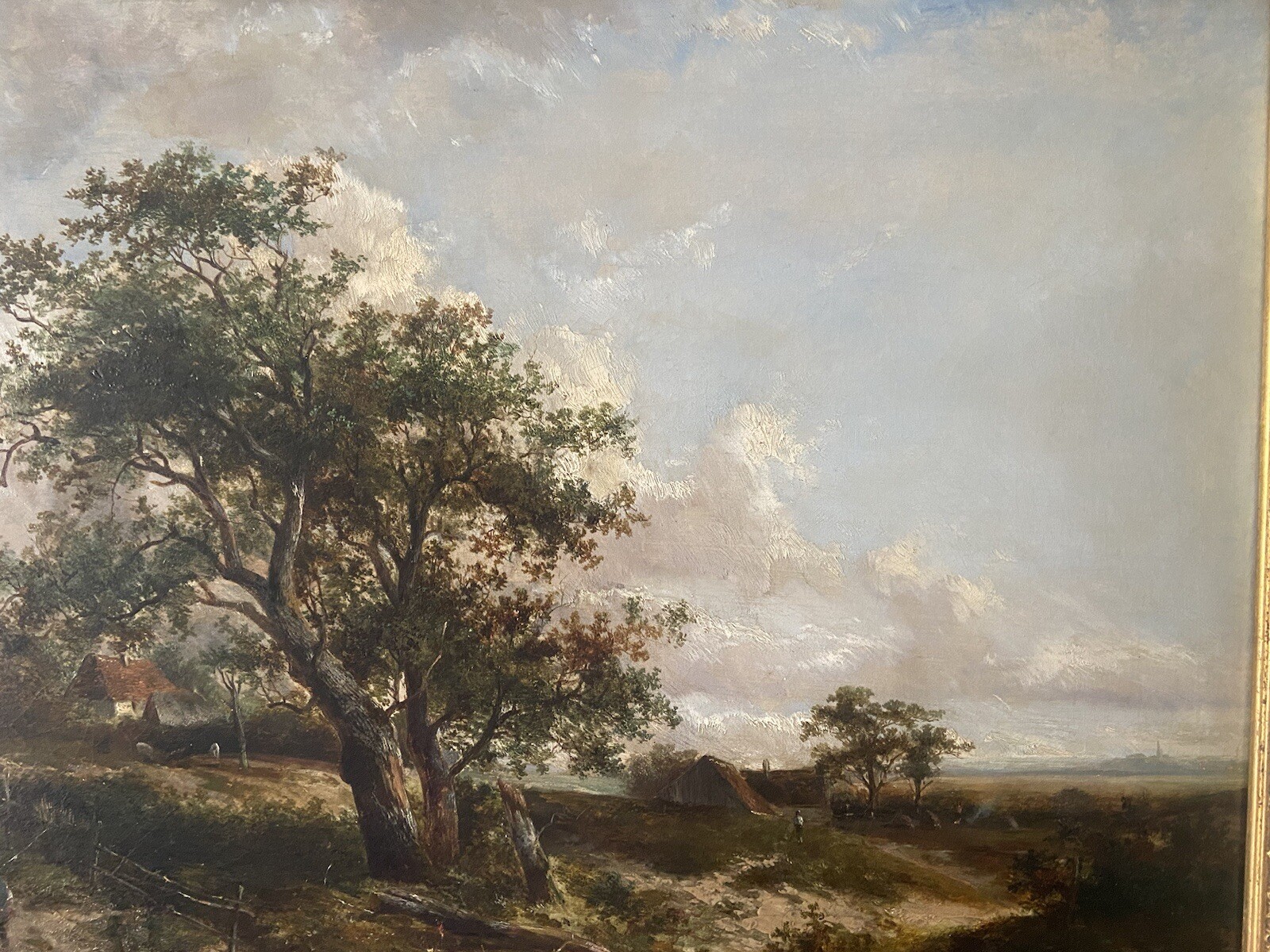 Picture 6 of 24