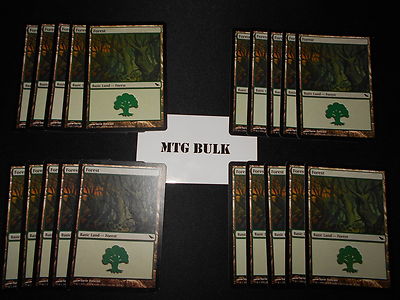 20 Basic Land #301 - SAME ART - Forest - Shadowmoor - MP-NM - Magic MTG FTG