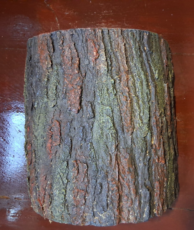 Terrarium Log MED Bearded Dragon Cave Gecko log Snake log Lizard House 9 x 10
