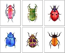 Colorful Insect Wall Art Prints,Ladybug Beetle Art Poster,Beetle Ladybug Wall...