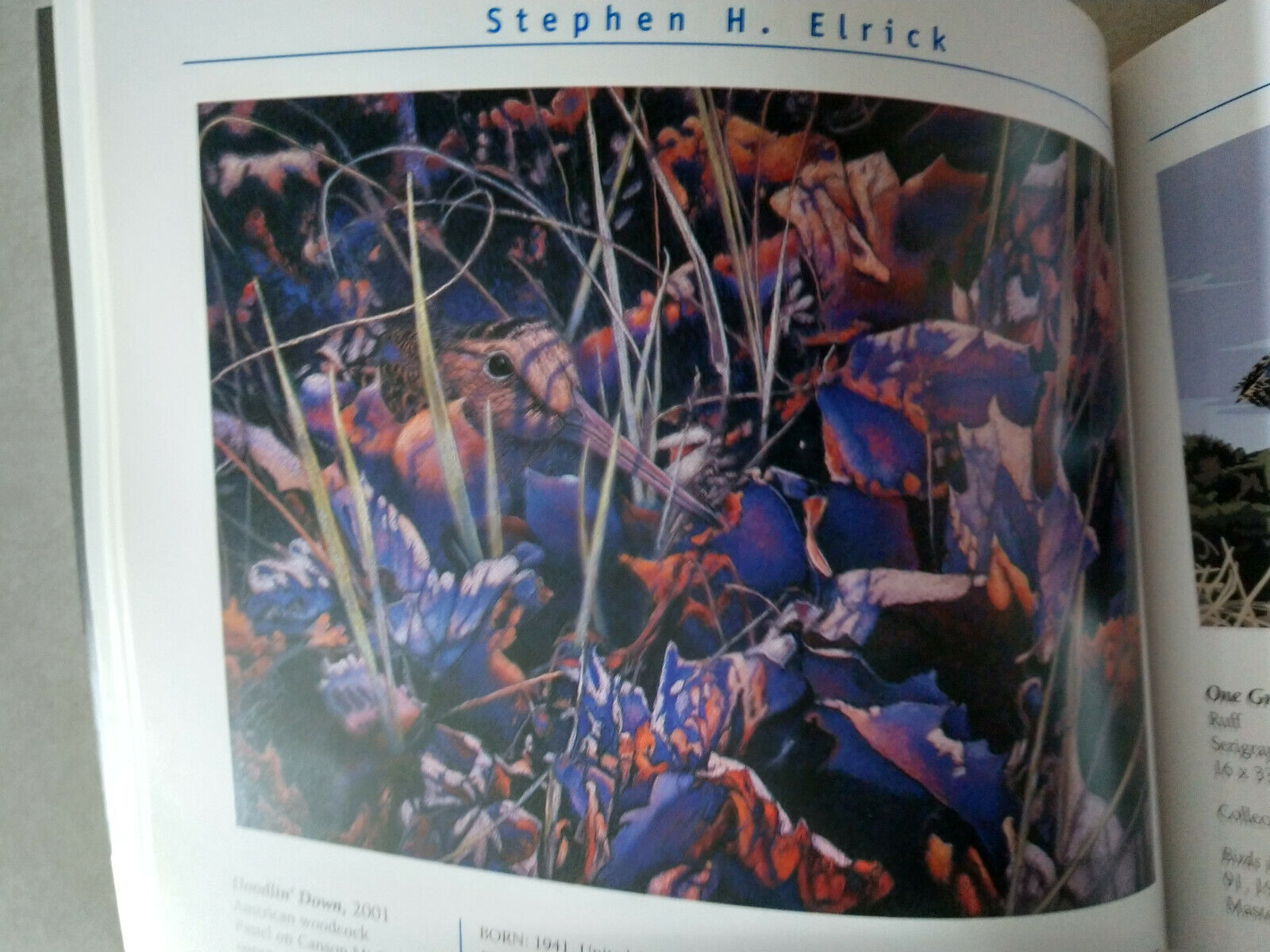 Picture 3 of 7