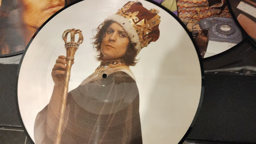 MARC BOLAN THE HISTORY OF T.REX VINYL BOX SET , NUMBERED, 4 X PICTURES DISC LP'S - Picture 3 of 13