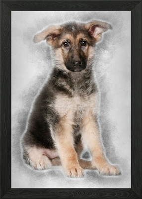 Deutscher Schäferhund Welpe 4 Monate gerahmtes Wandbild Poster Leinwanddruck Bild