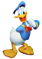 Donald Duck sticker weatherproof bumper vinyl decal