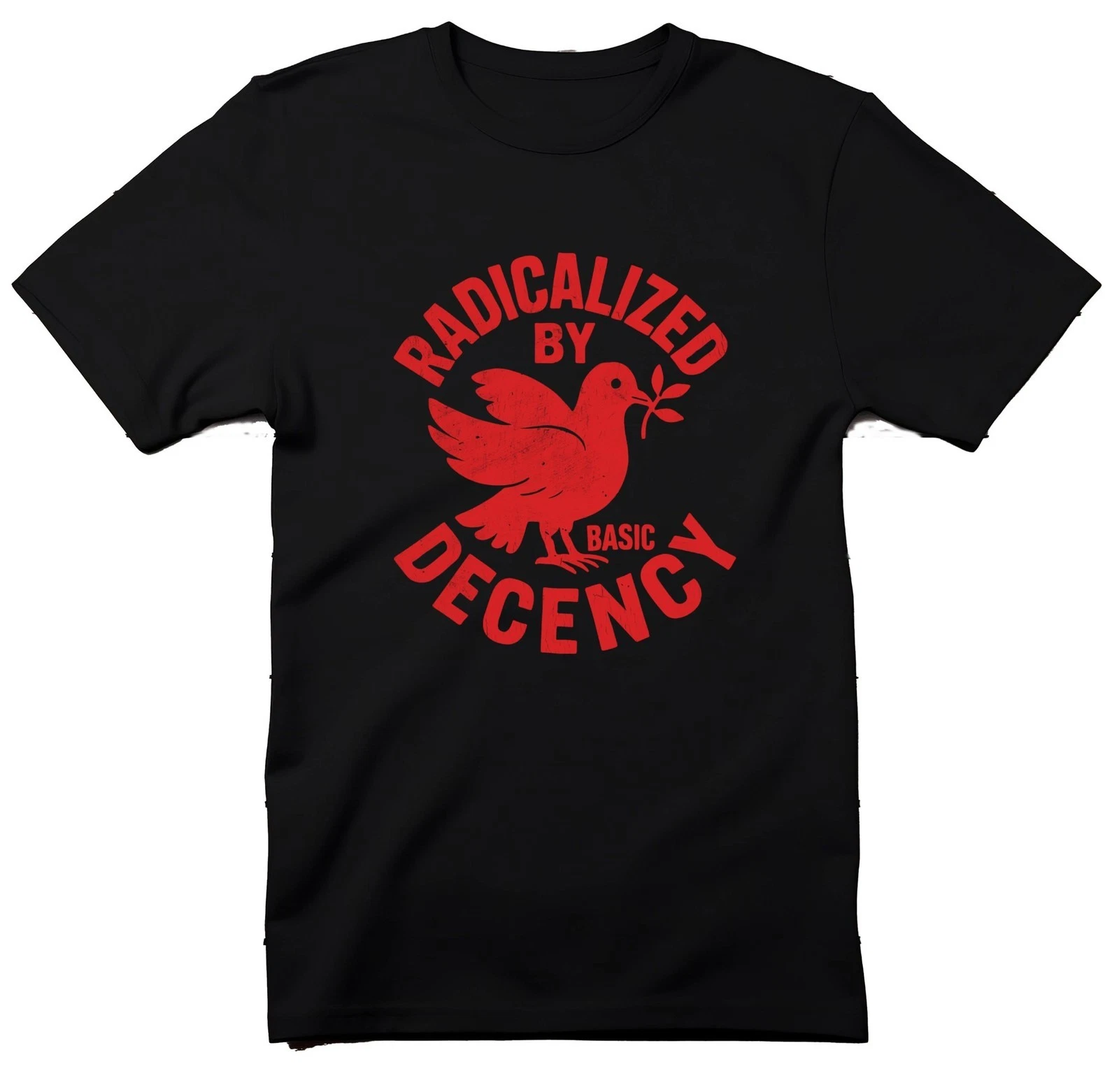 Radicalized By Basic Decency T-Shirt, Peace Dove, Political Tee, Equality Shirt,