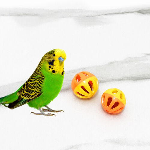 Parrot Bite Chewing Toy Bird Training Toy Wooden Interactive Parrot Ring populaire Toys
