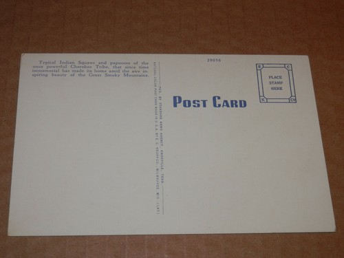 POSTAL NATIVO AMERICANO INDIO SQUAWS GRAN PARQUE NACIONAL AHUMADO ERA 1930-1950 - Imagen 2 de 2