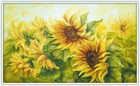 Bild 172 von 239