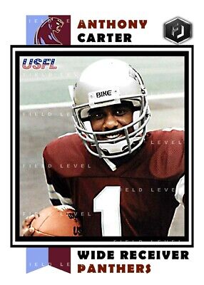 ACEO USFL ANTHONY CARTER MICHIGAN PANTHERS HAND MADE ART CARD